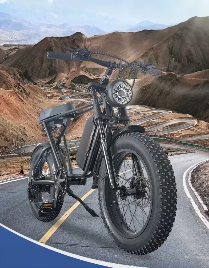 BICI CLASSIC BIKE ELETTRICA 1000W