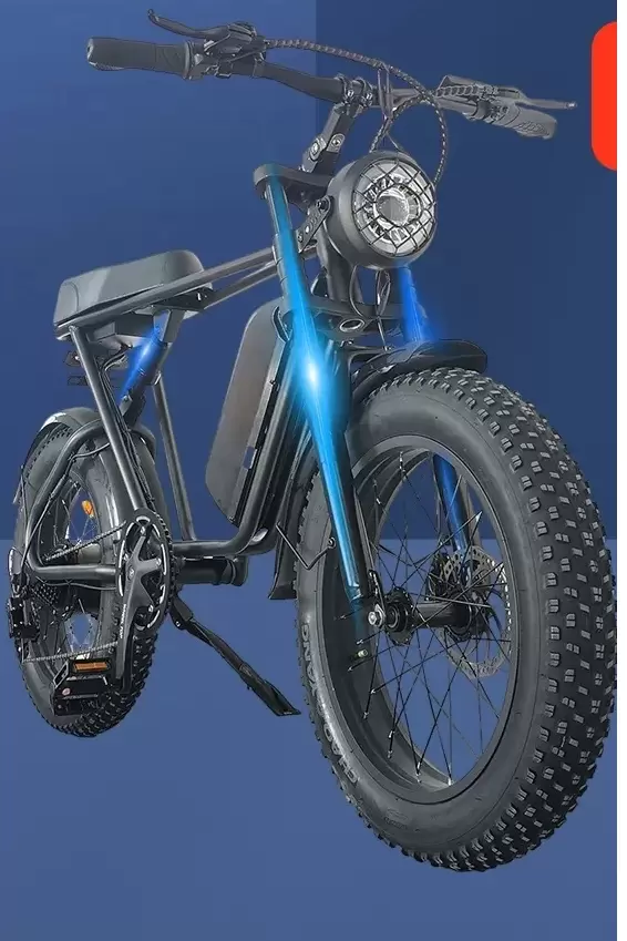 BICI CLASSIC BIKE ELETTRICA 1000W - immagine 2